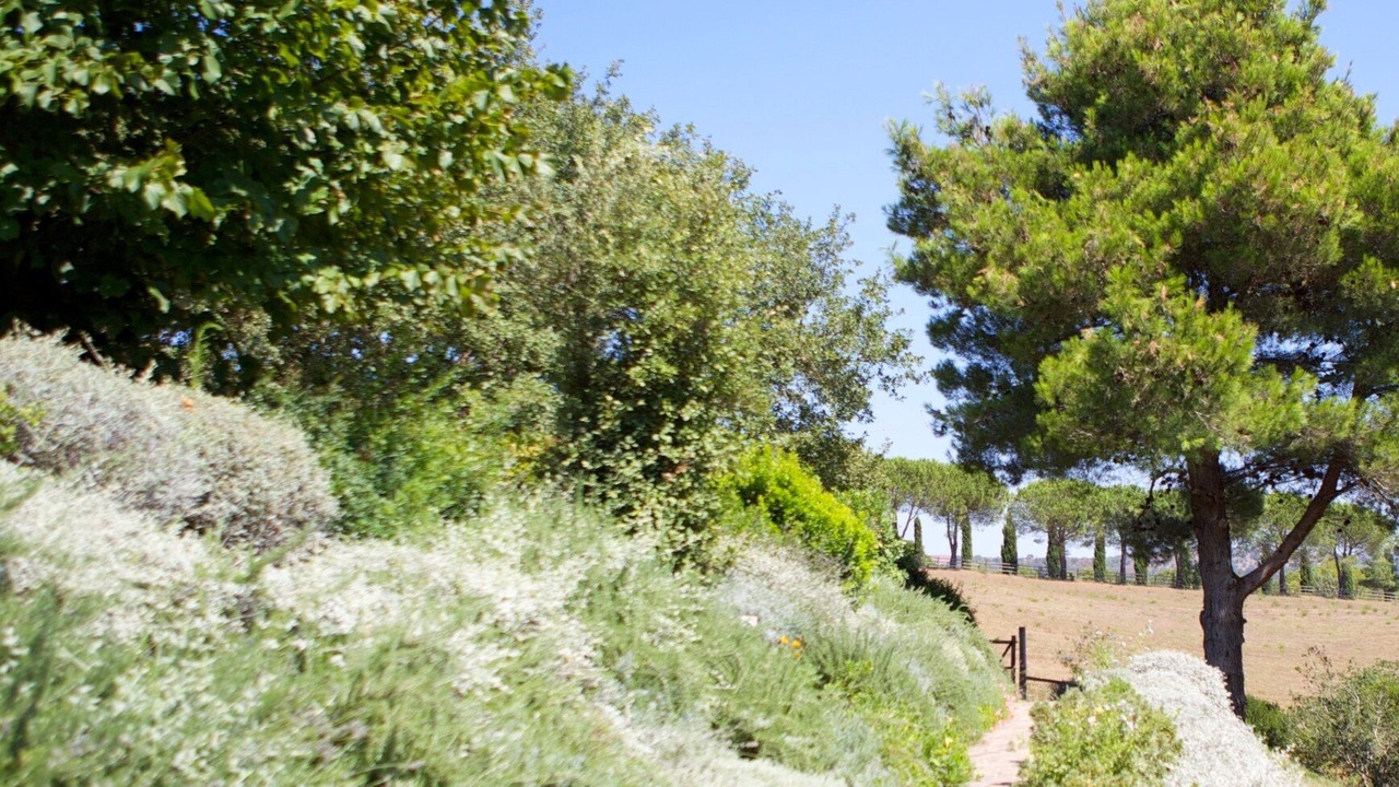 Photo of Outdoor in Pescia Fiorentina