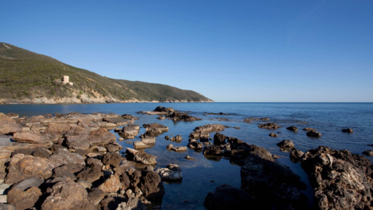 Photo of Others in Monte Argentario