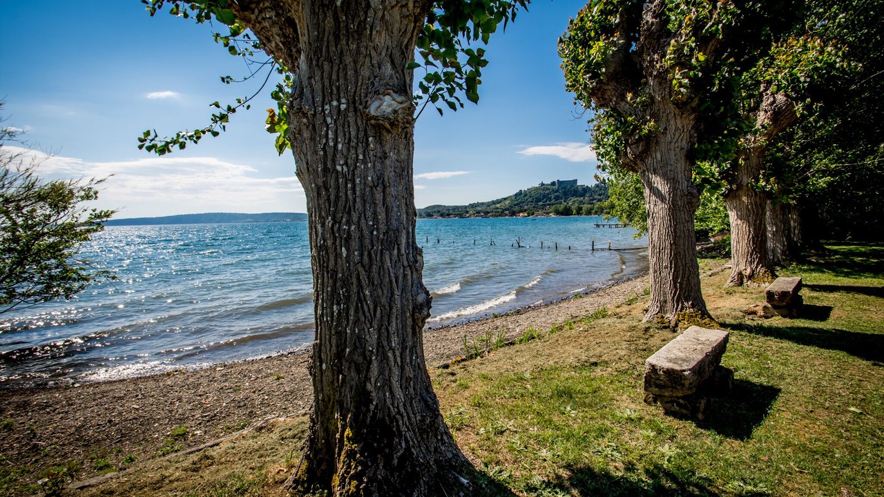 Photo of Others in Lake Bracciano