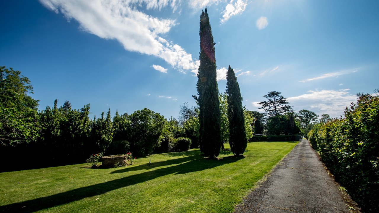 Photo of Outdoor in Lake Bracciano