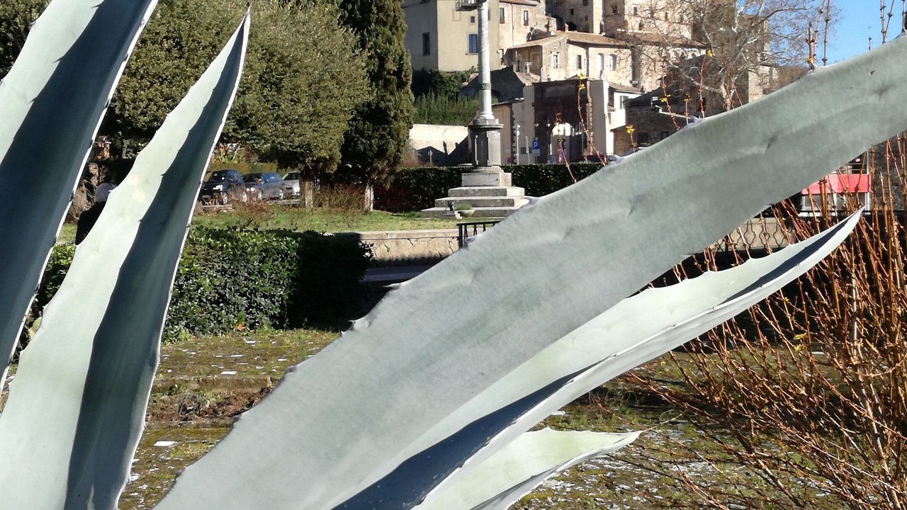 Photo of Outdoor in Bolsena