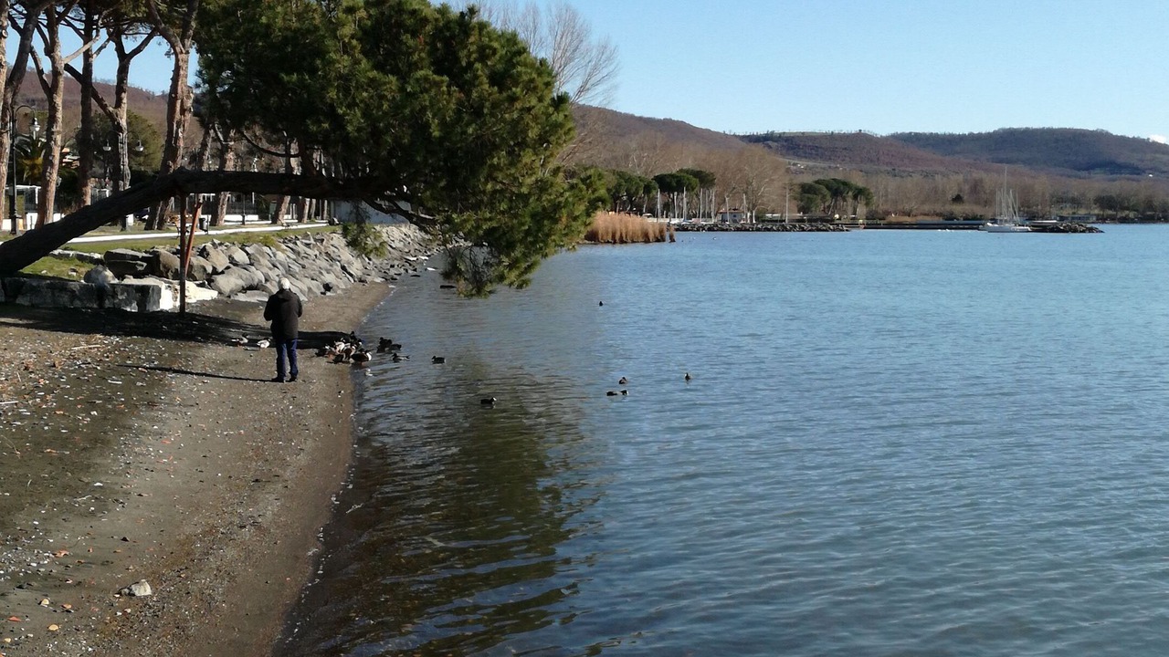 Photo of Others in Bolsena
