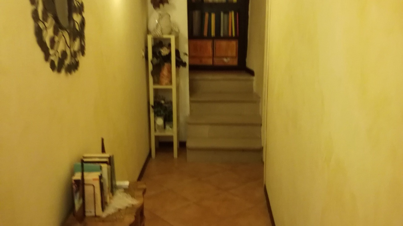 Photo of Others in Bolsena