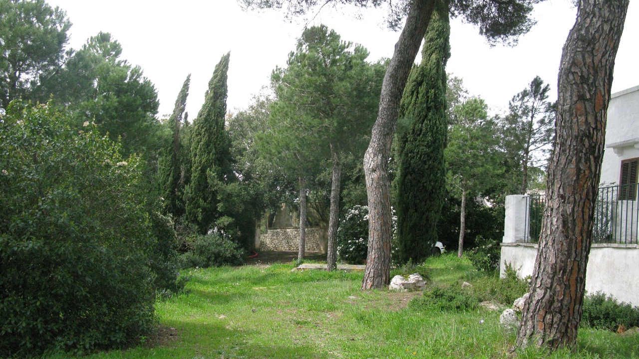 Photo of Outdoor in Selva di Fasano