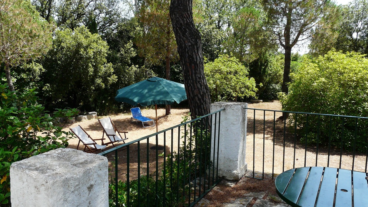 Photo of Outdoor in Selva di Fasano