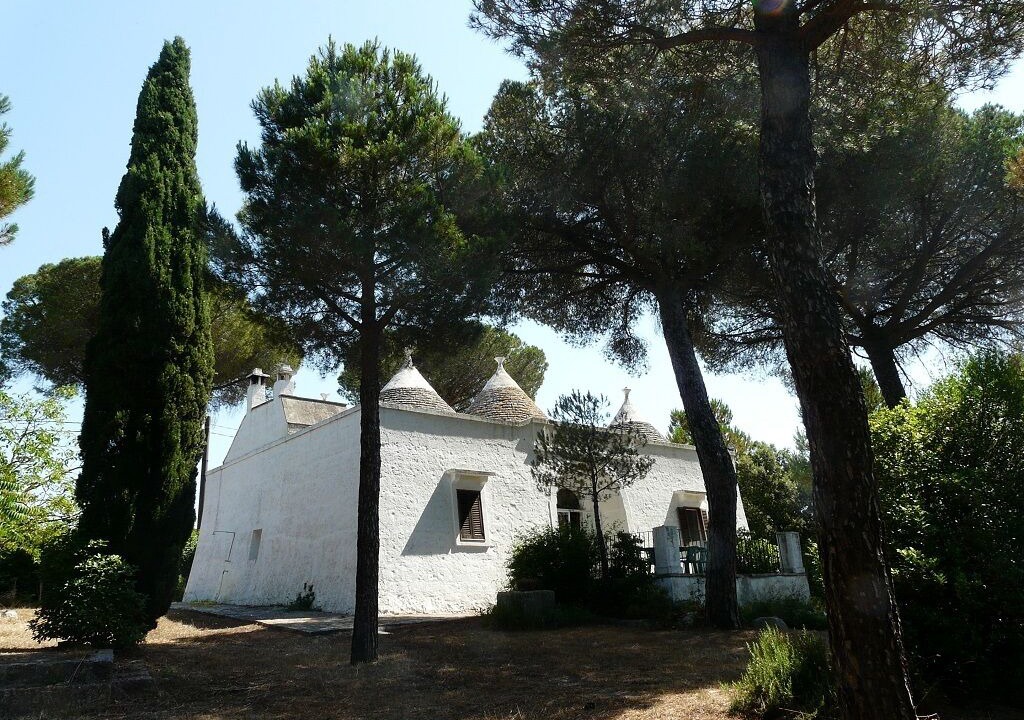 Photo of Outdoor in Selva di Fasano