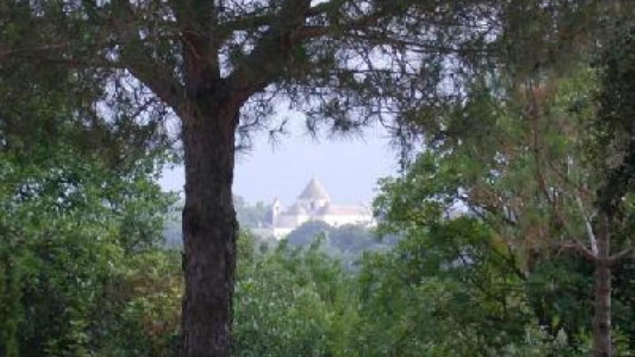 Photo of Outdoor in Selva di Fasano