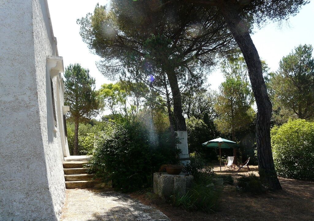 Photo of Outdoor in Selva di Fasano