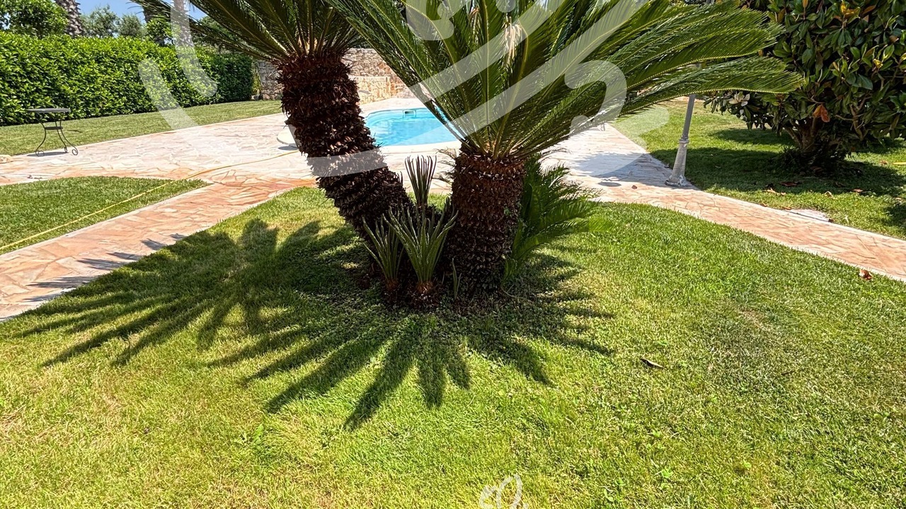 Photo of Outdoor in Castellana Grotte