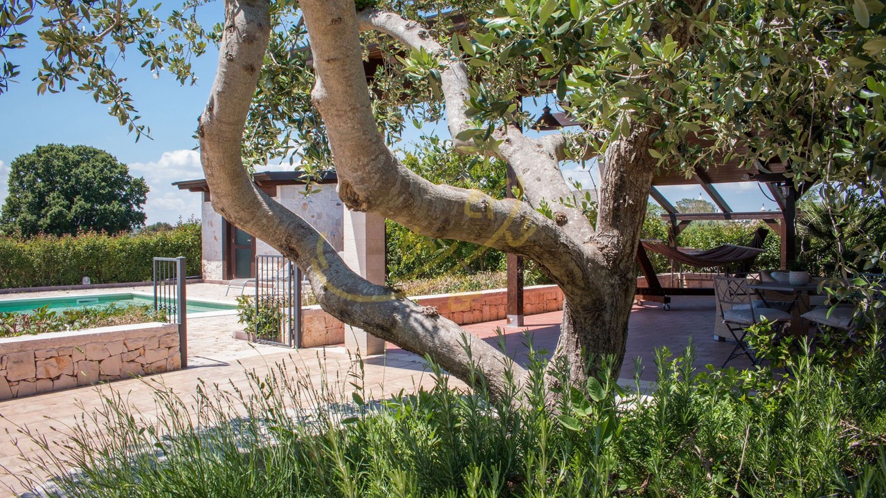 Photo of Outdoor in Impalata