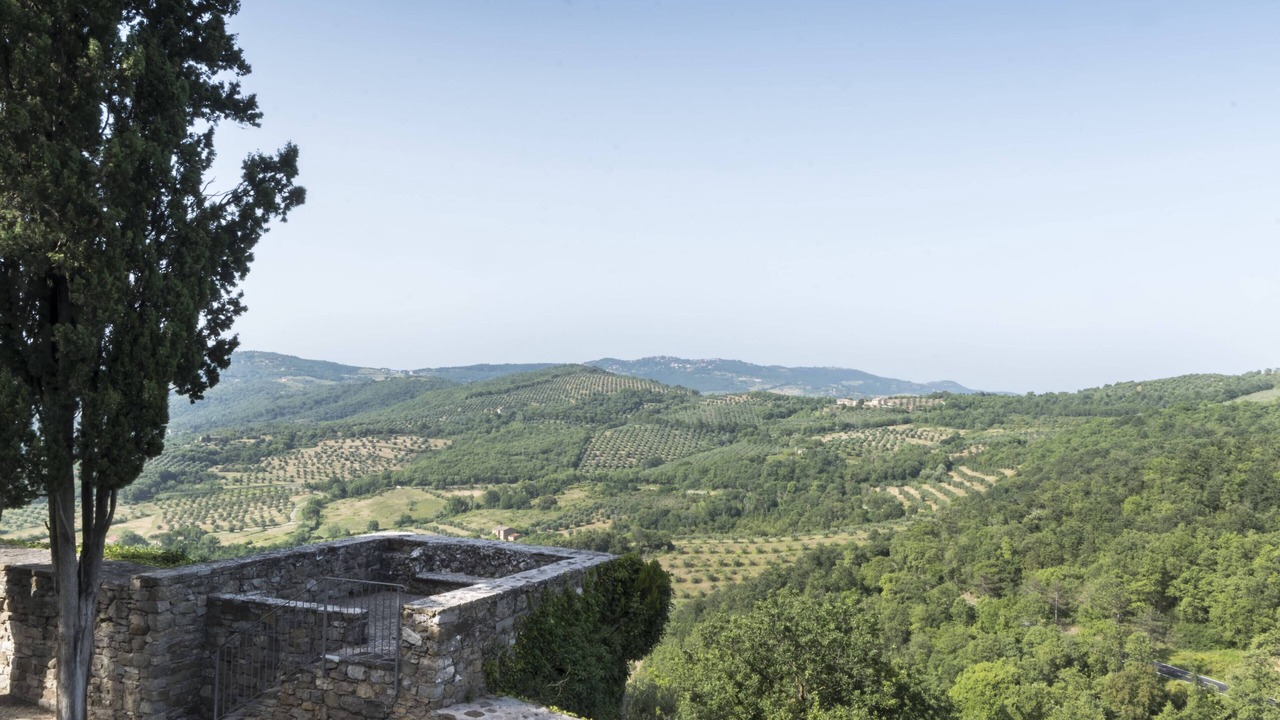 Photo of Outdoor in Montecolognola