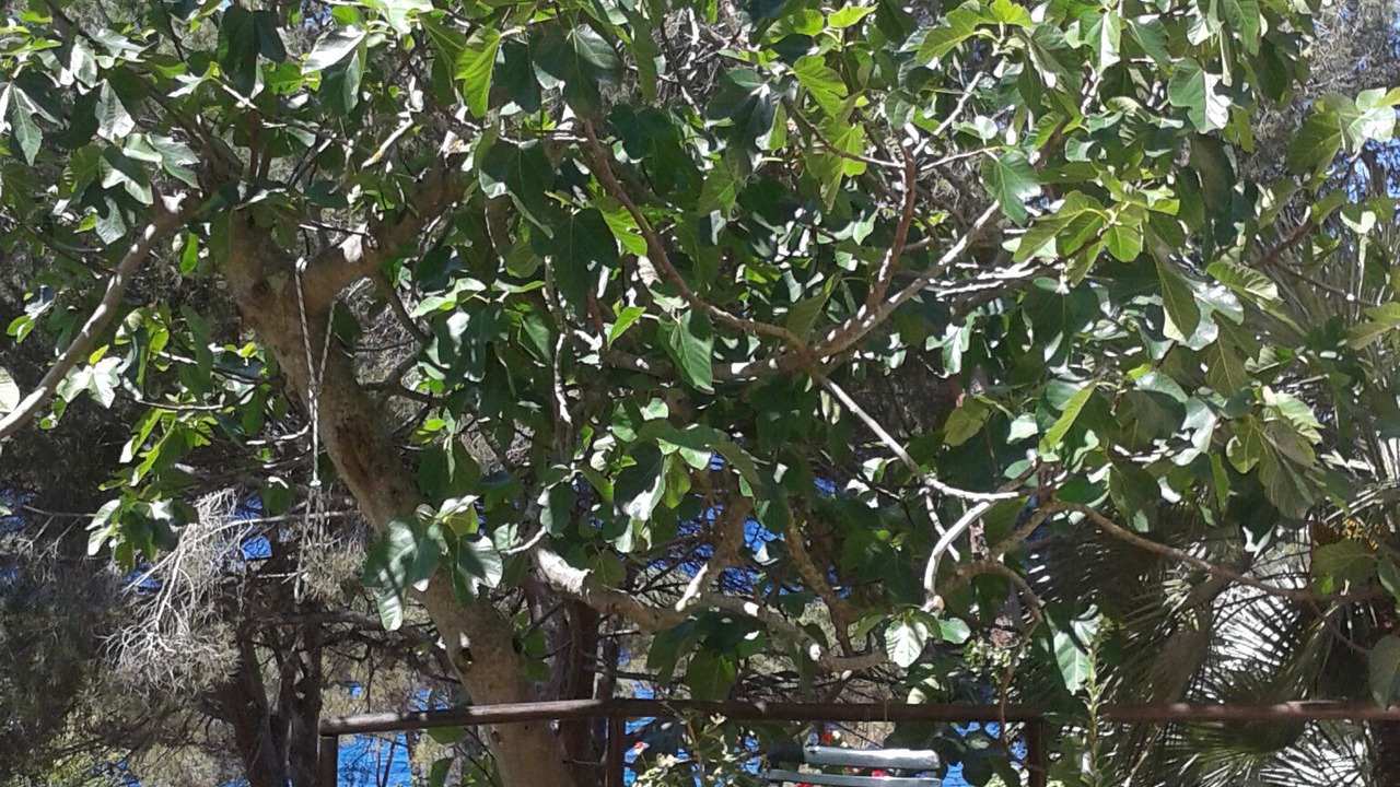 Photo of Outdoor in Scaglieri