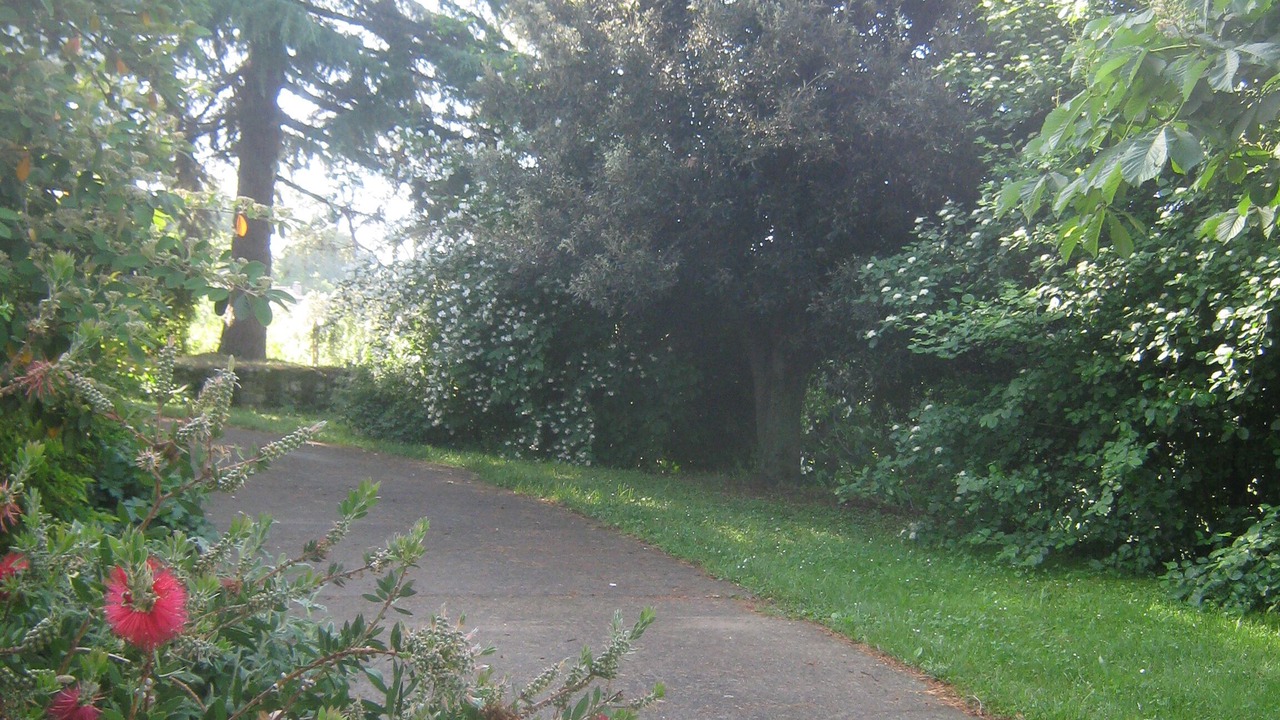 Photo of Outdoor in Viterbo