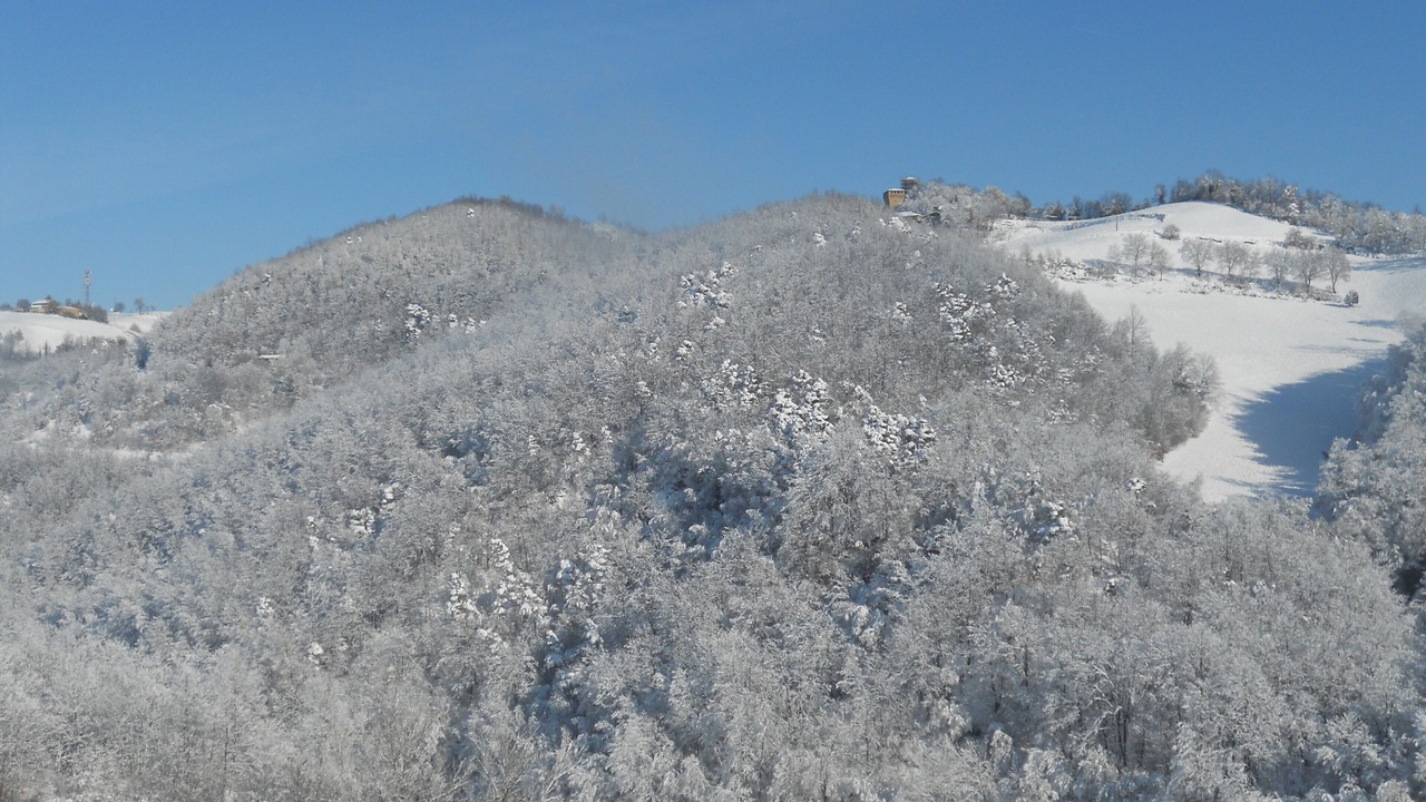 Photo of Outdoor in Casina