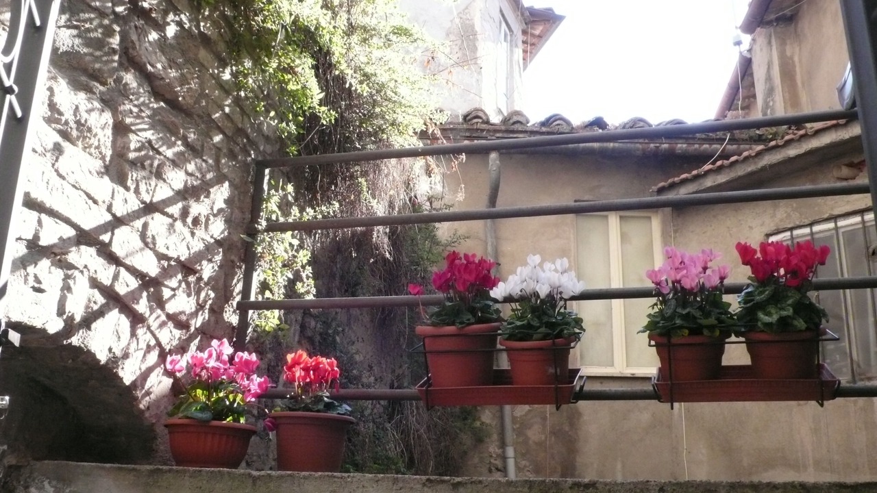 Photo of Outdoor in Old Town