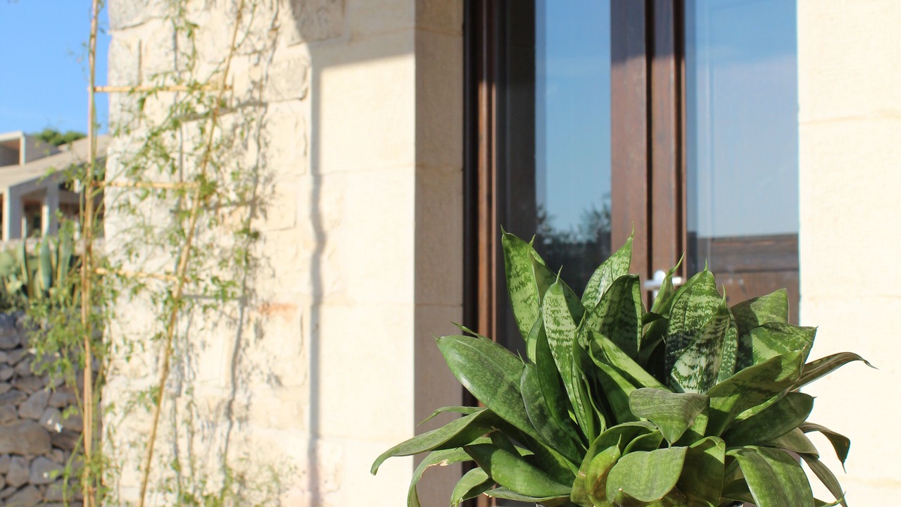 Photo of Outdoor in Casa Papa