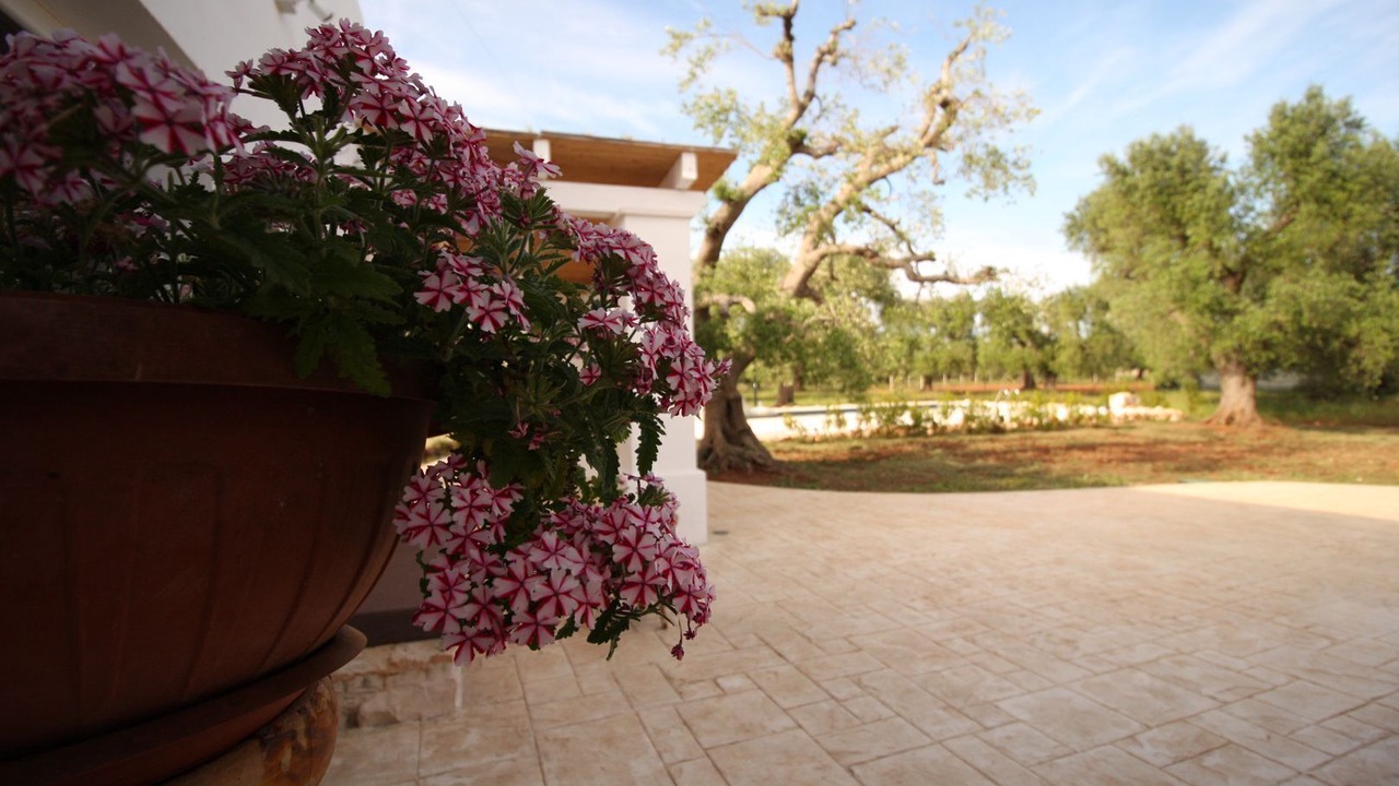 Photo of Outdoor in San Vito dei Normanni
