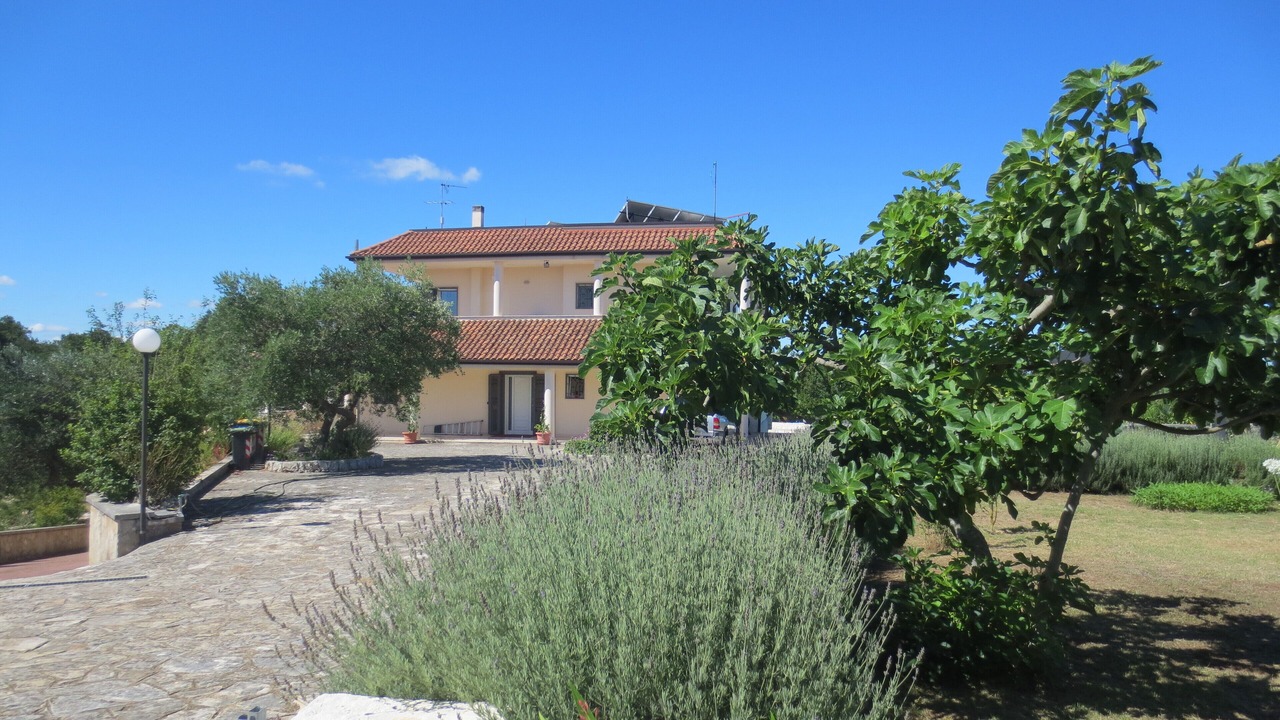 Photo of Outdoor in Noci