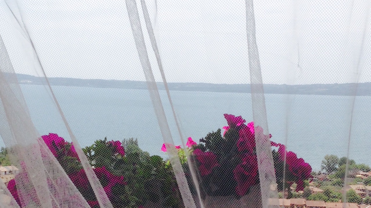 Photo of Others in Lake Bracciano