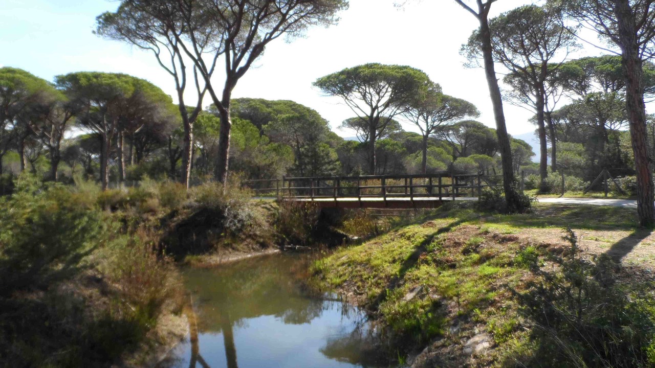 Photo of Outdoor in Magliano in Toscana