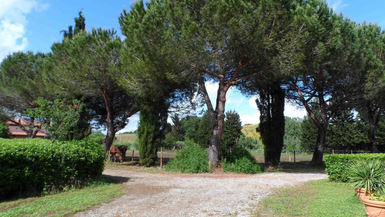 Photo of Outdoor in Magliano in Toscana