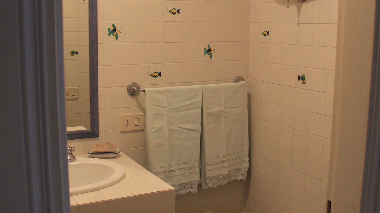 Photo of Bathroom in Ponza