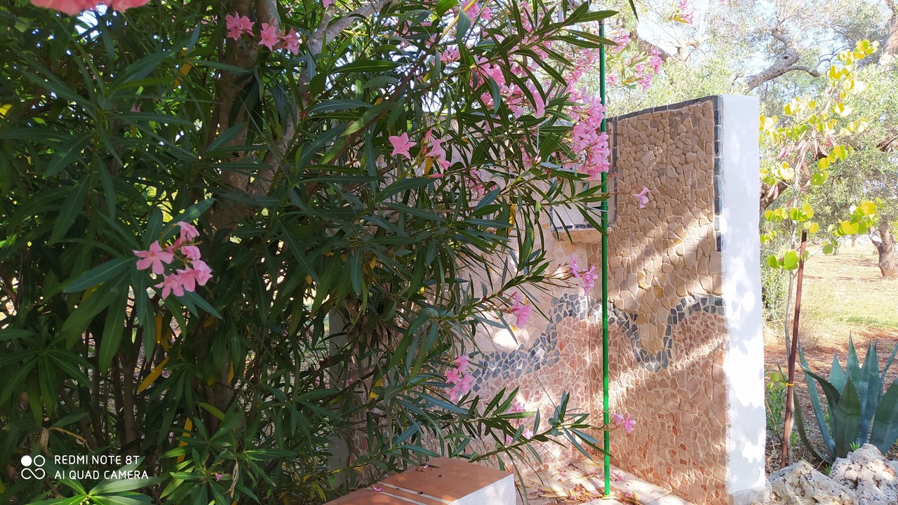 Photo of Outdoor in Villa Castelli
