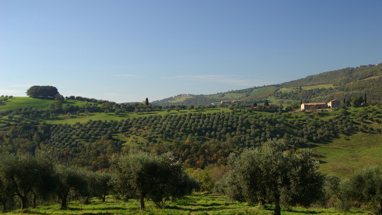 Photo of Outdoor in Collesanto
