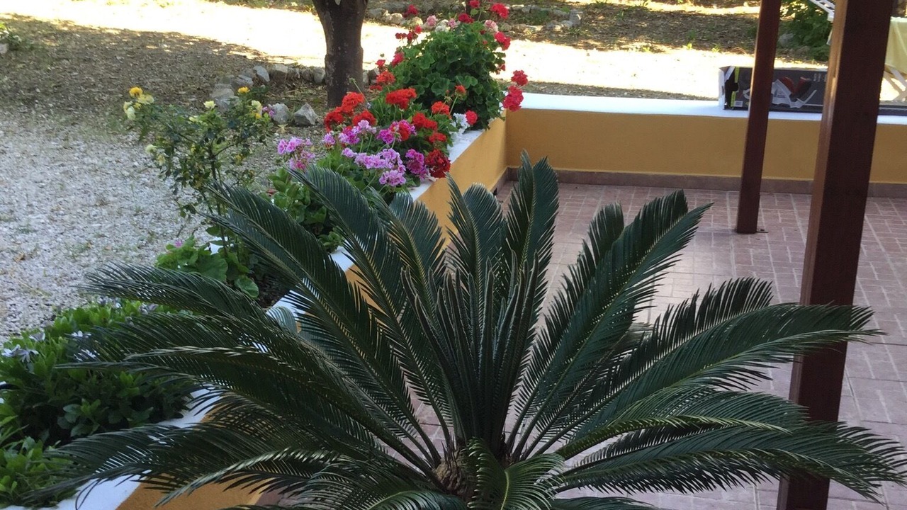 Photo of Outdoor in Vico del Gargano