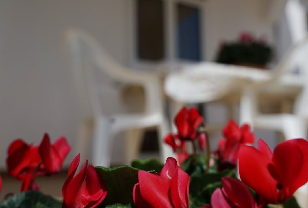 Photo of Outdoor in Fumarola