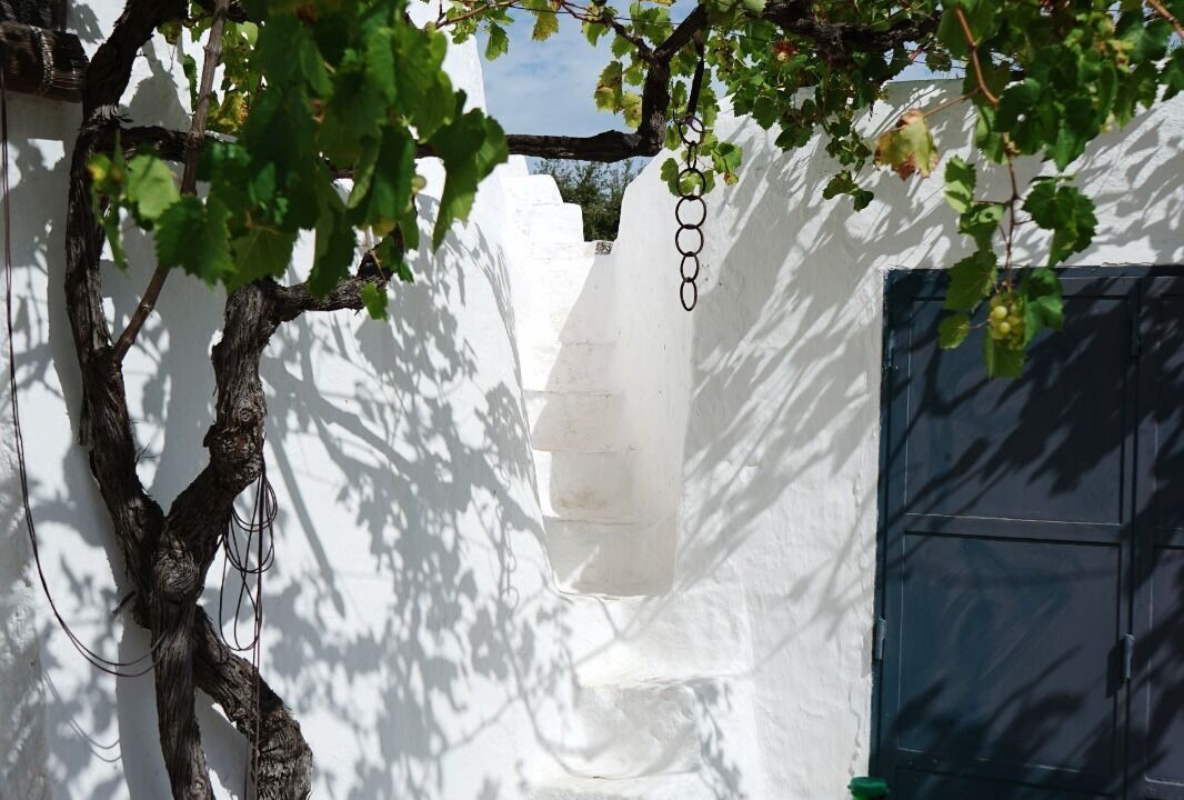 Photo of Outdoor in Fumarola