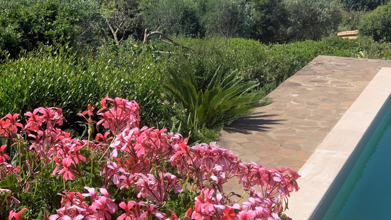 Photo of Outdoor in Ansedonia