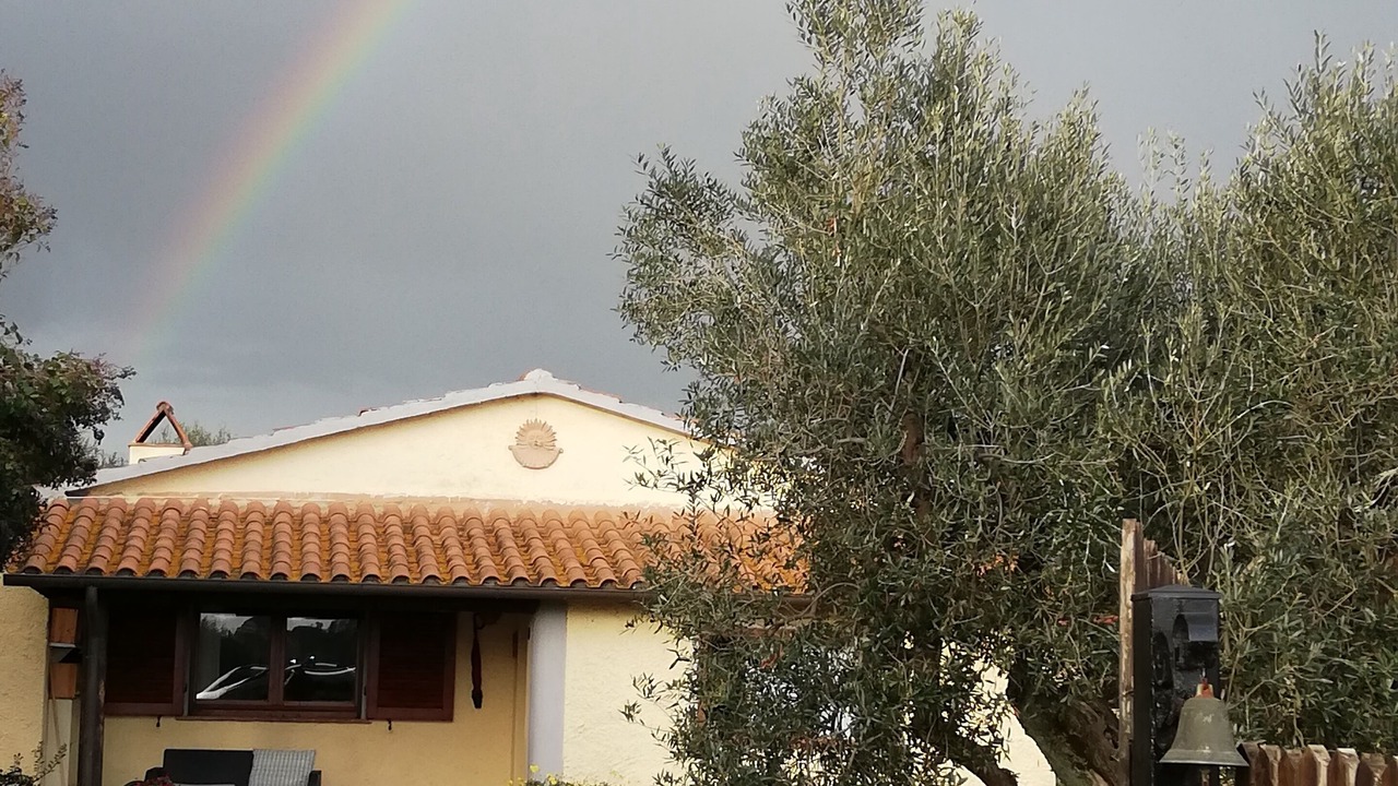 Photo of Outdoor in Donoratico
