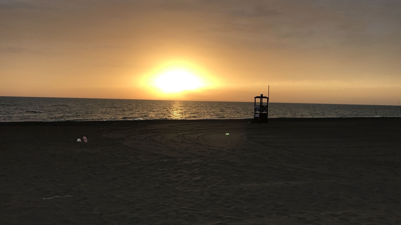 Photo of Others in Donoratico