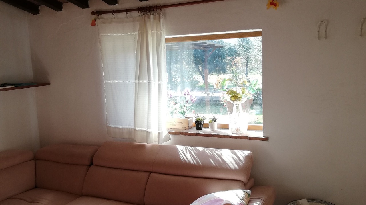 Photo of Livingroom in Donoratico