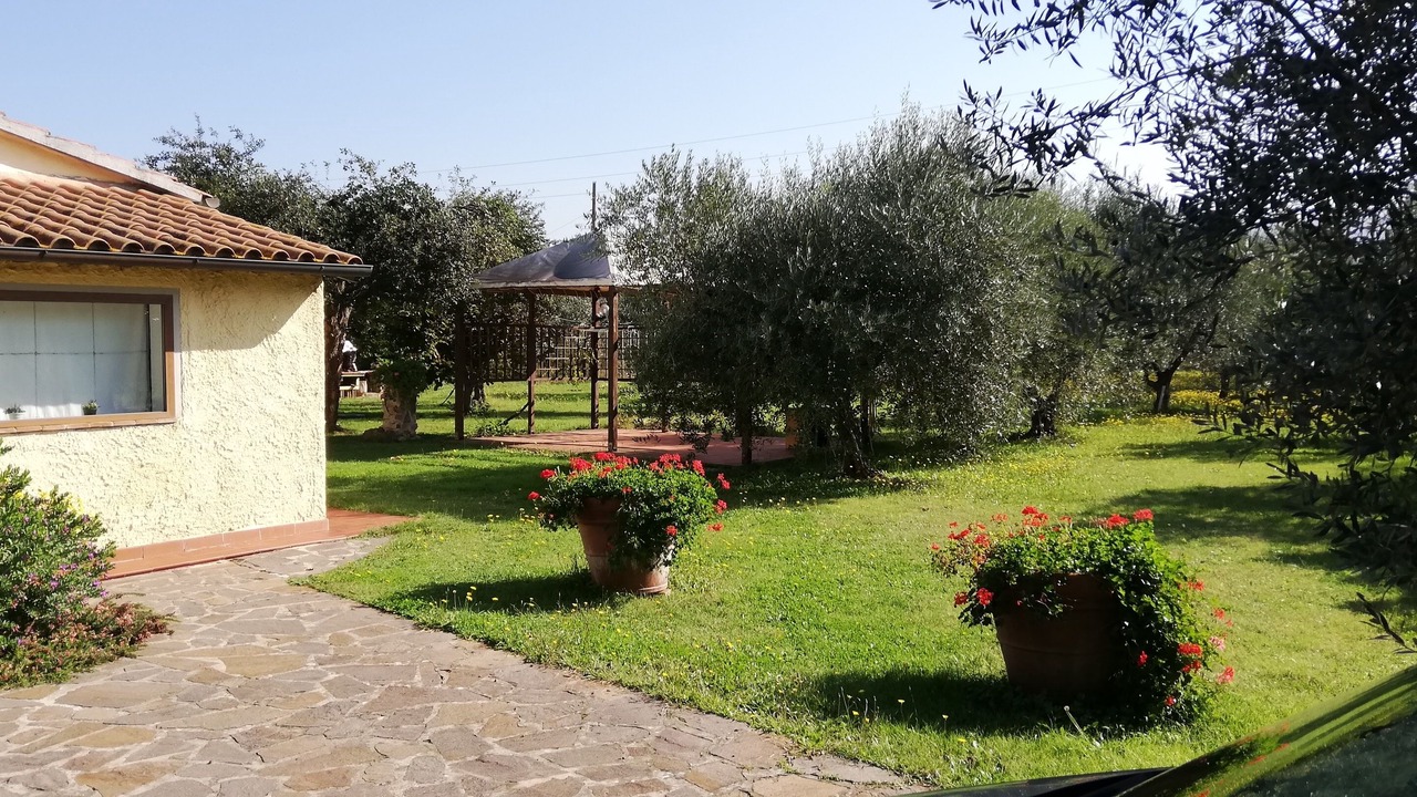 Photo of Outdoor in Donoratico