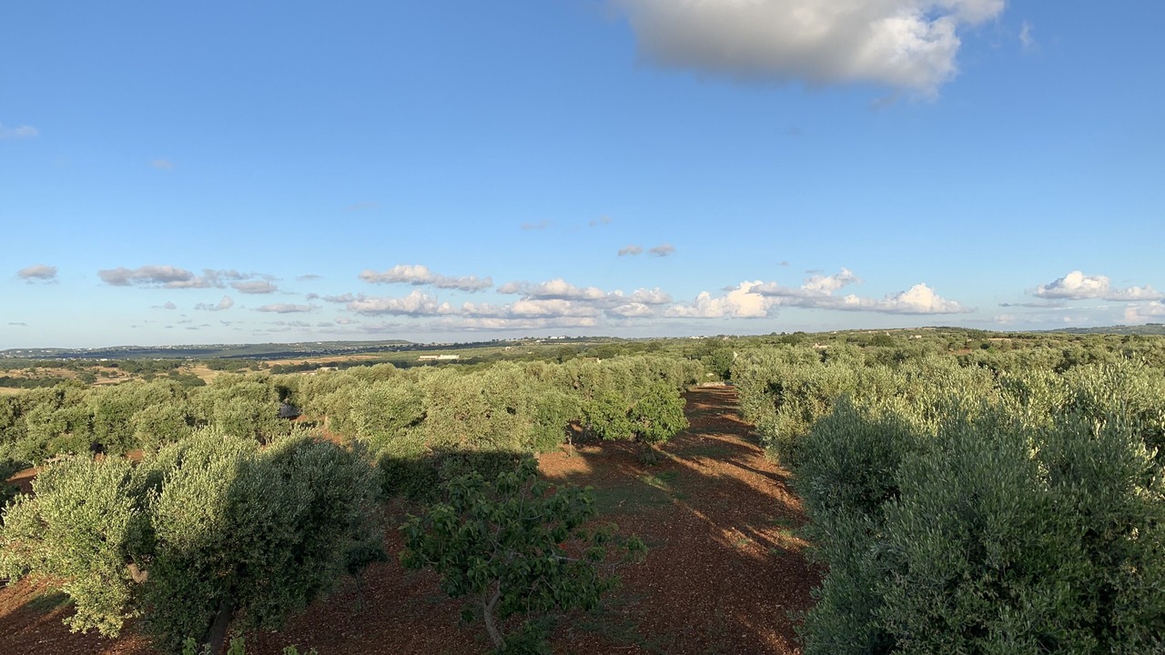 Photo of Outdoor in Castellana Grotte