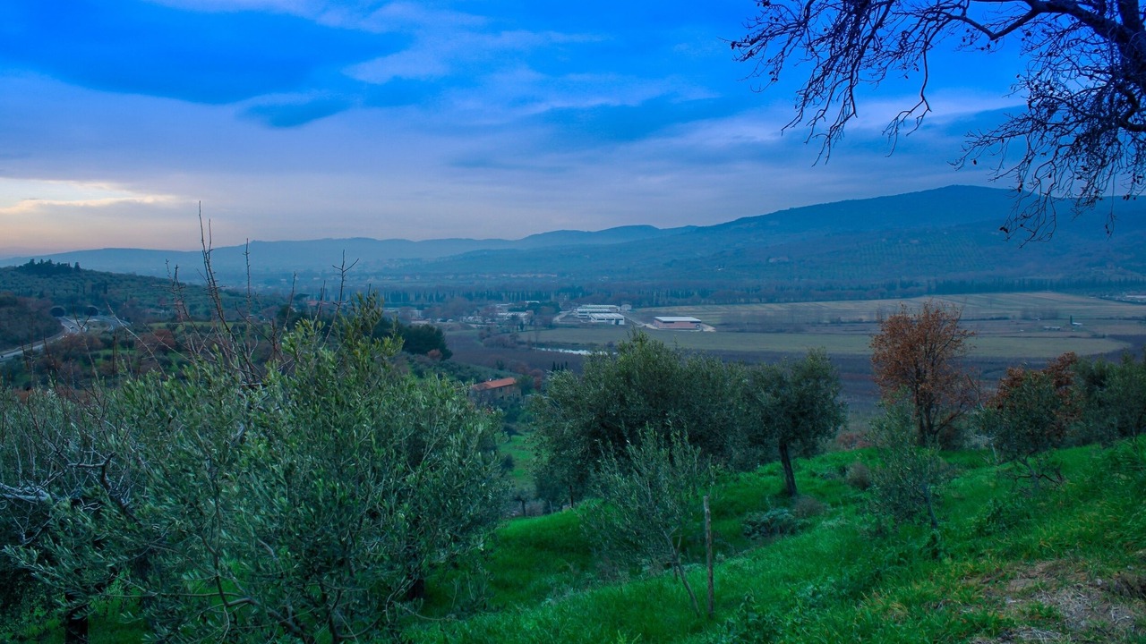 Photo of Others in Passignano sul Trasimeno