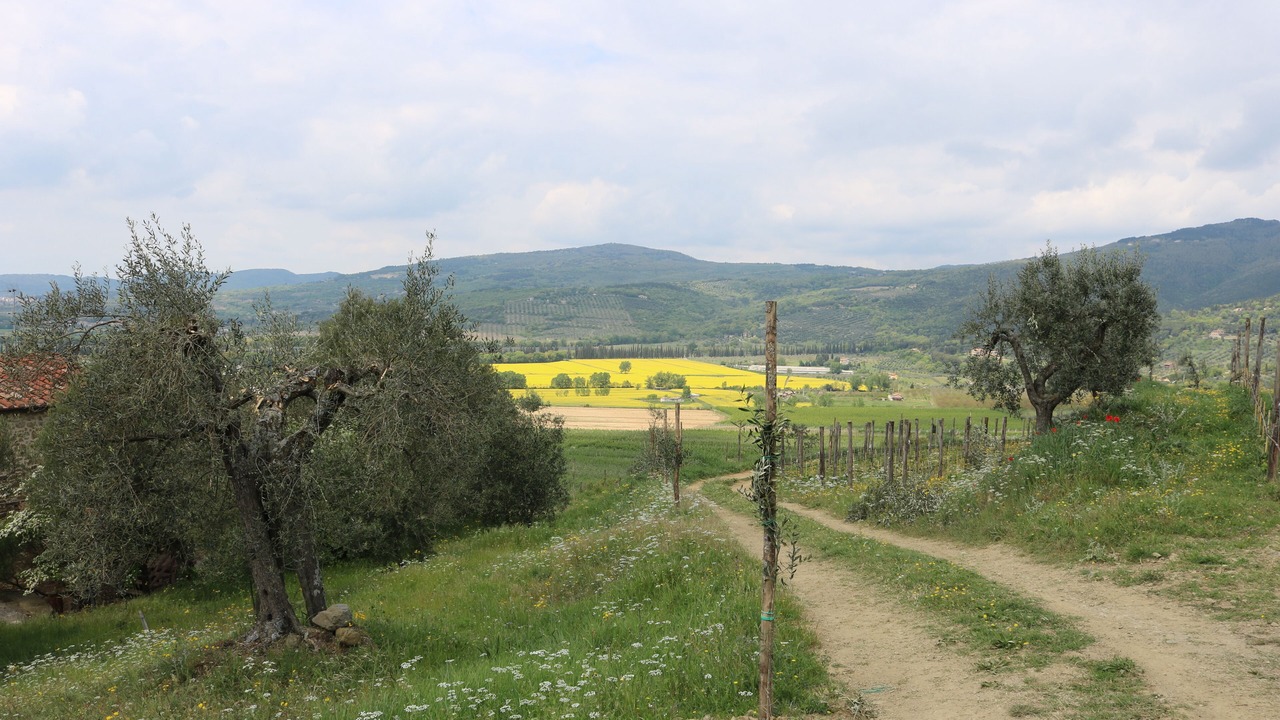 Photo of Outdoor in Passignano sul Trasimeno