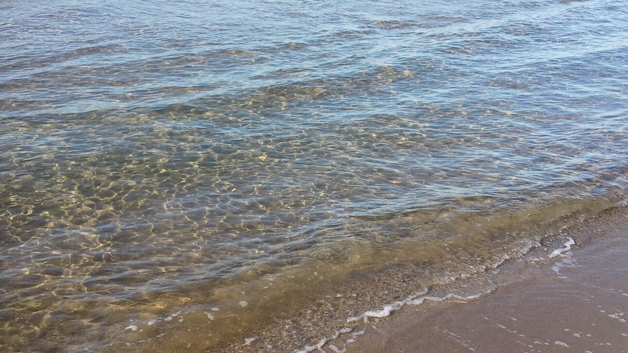 Photo of Others in Giannella