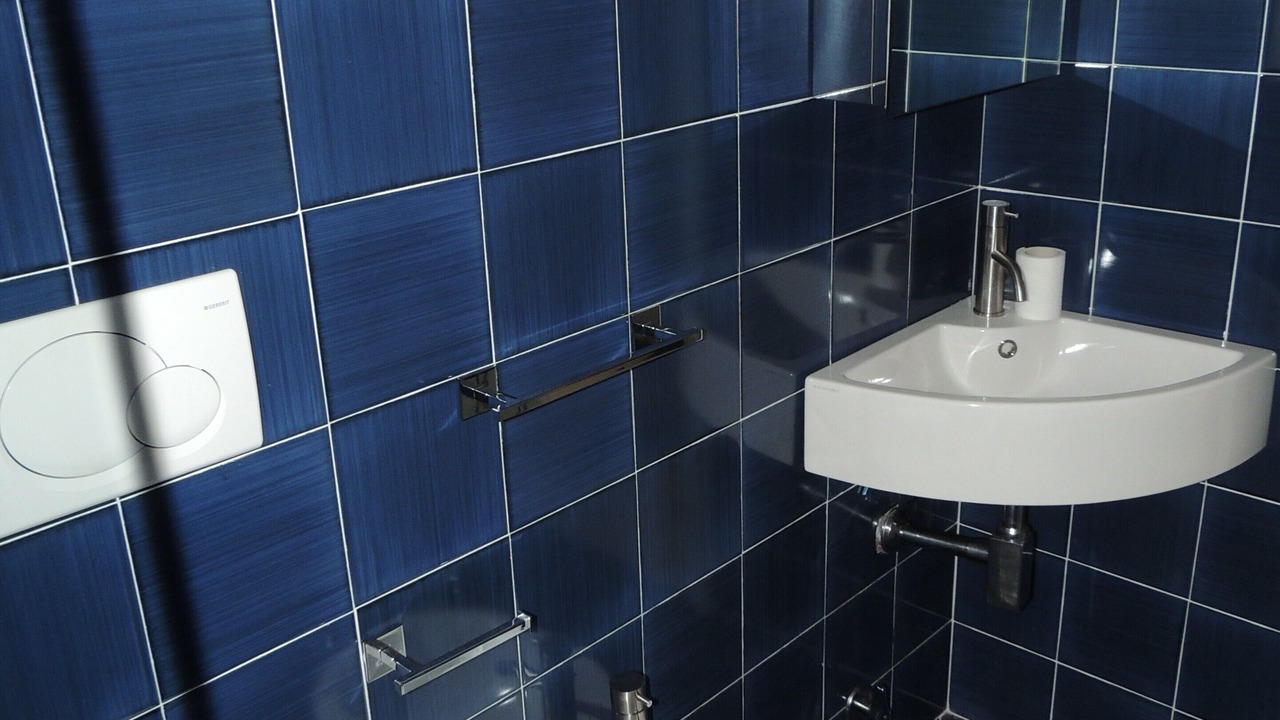 Photo of Bathroom in Ponza