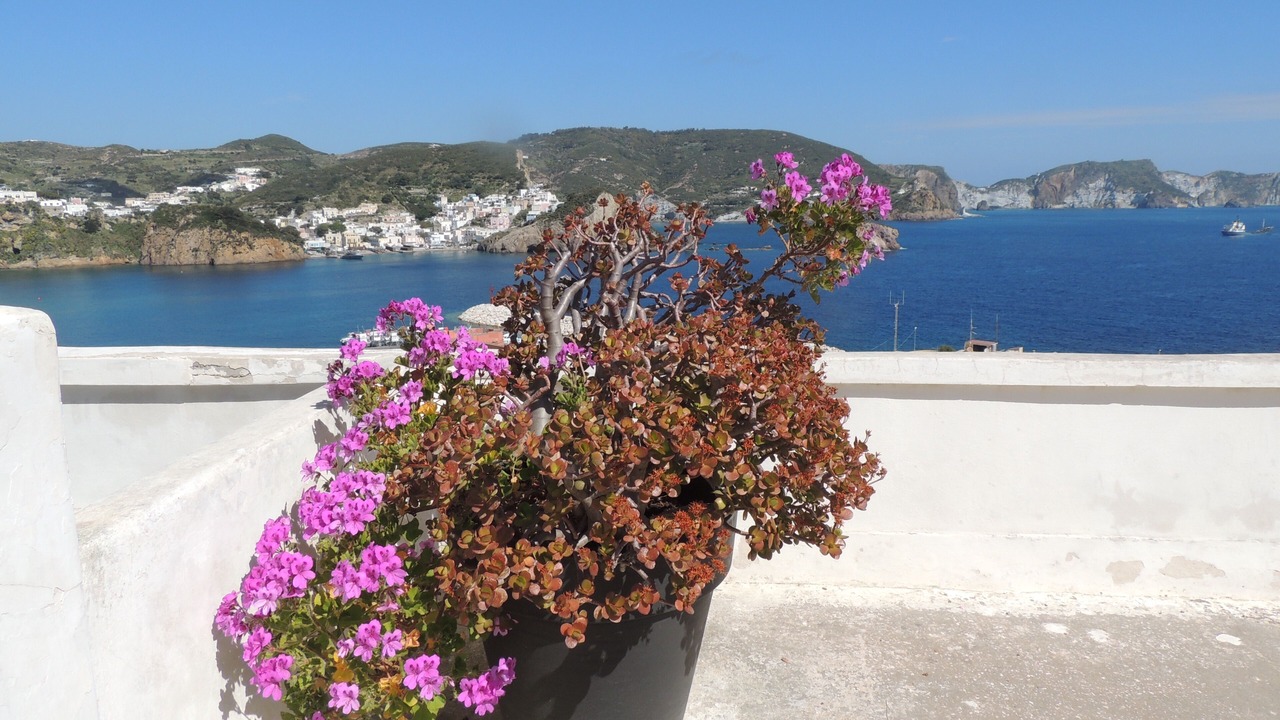 Photo of Outdoor in Ponza