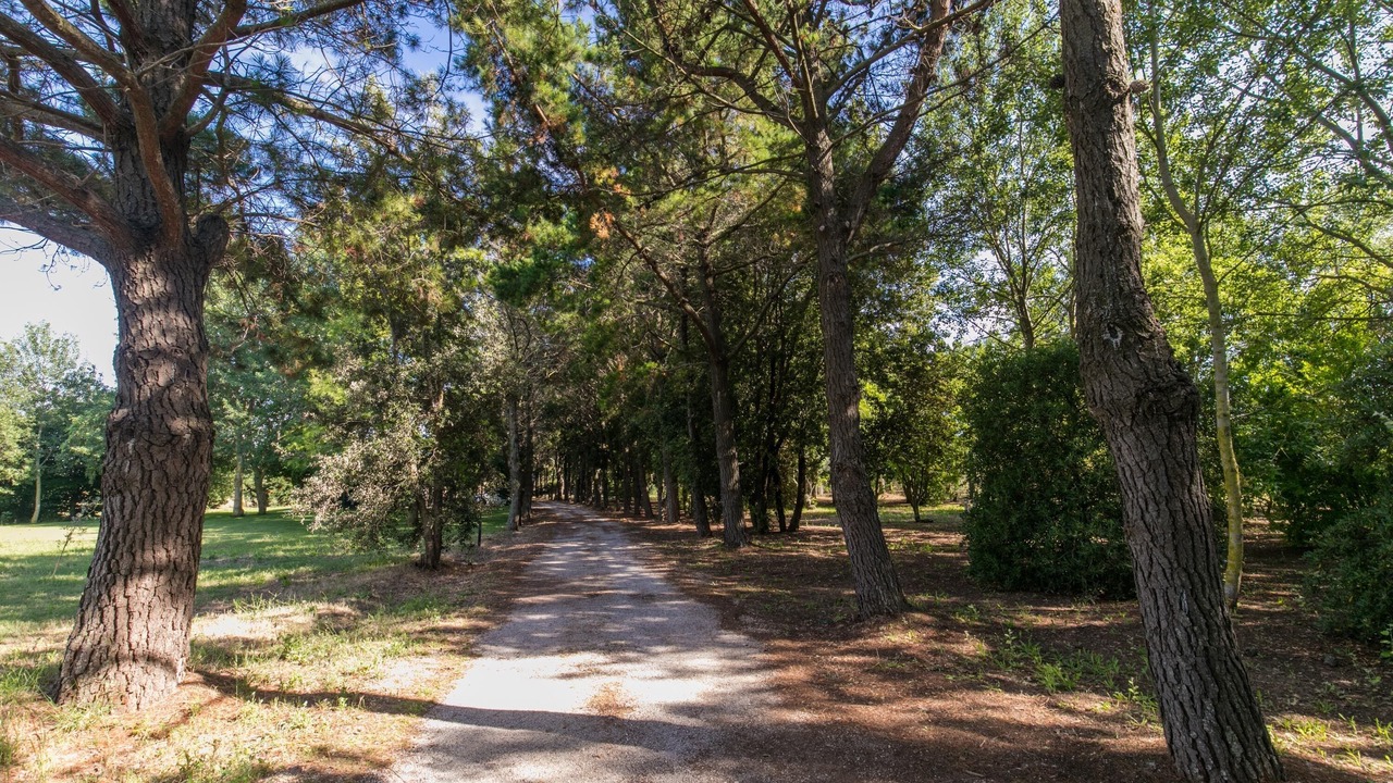 Photo of Outdoor in Capalbio