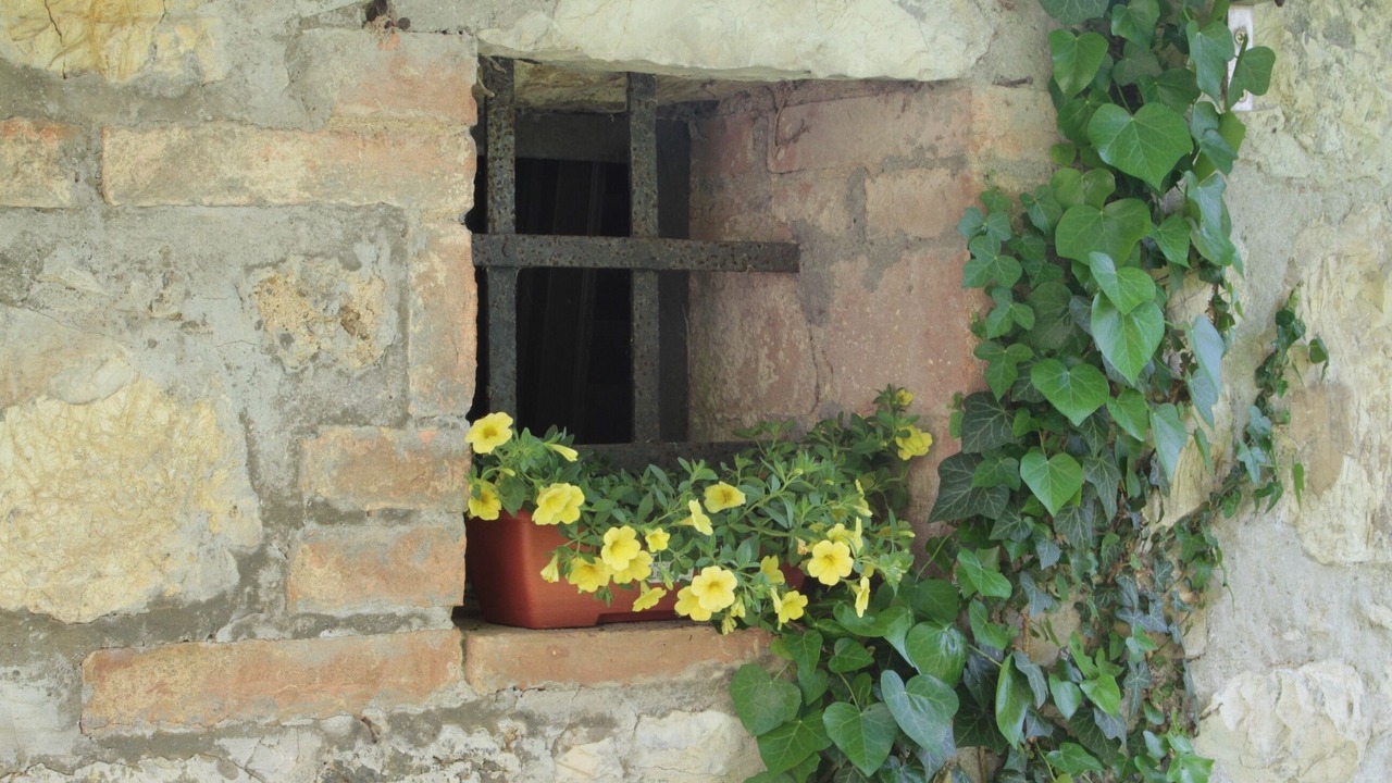 Photo of Outdoor in Murlo