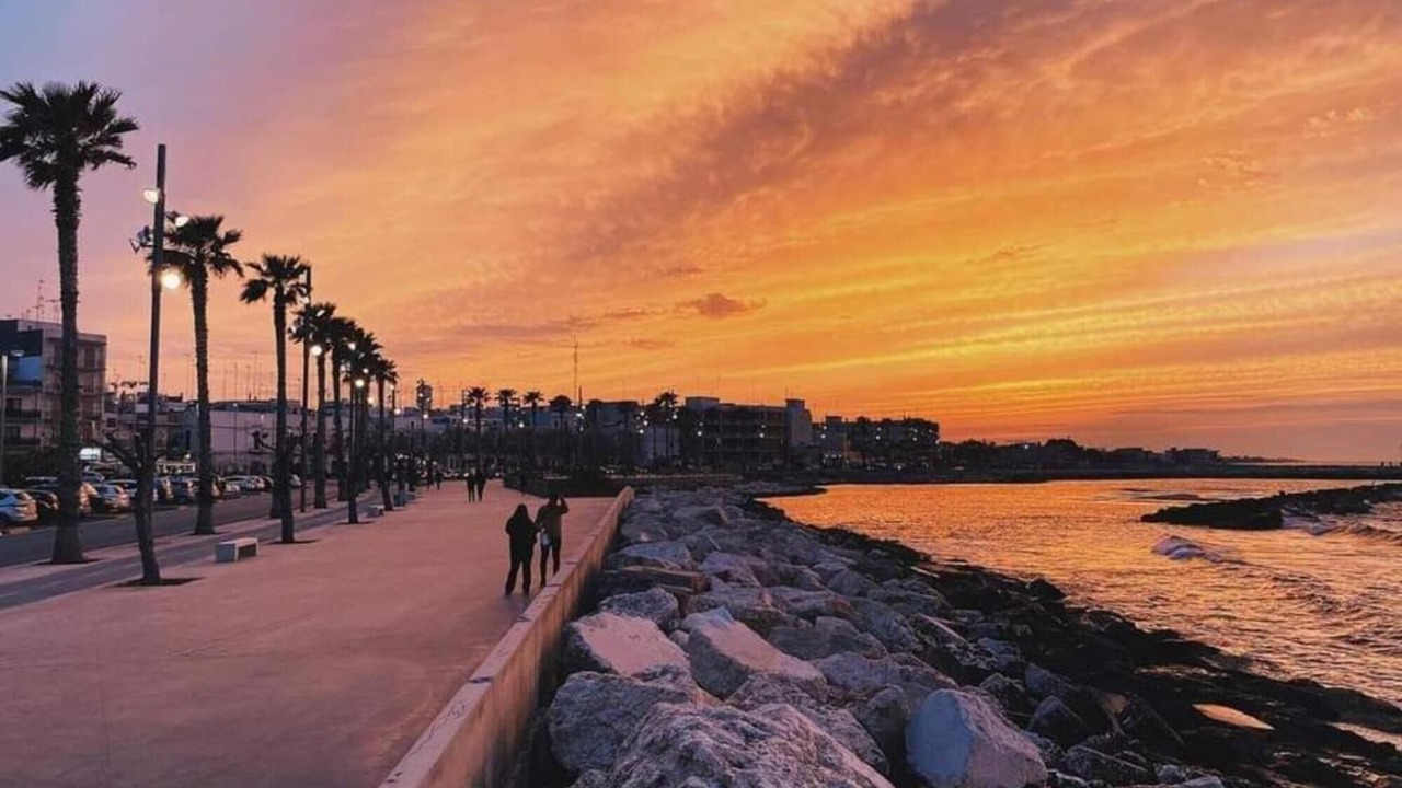 Photo of Others in Mola di Bari