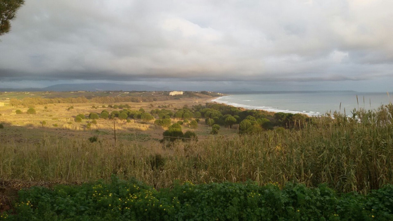 Photo of Others in Marinella di Selinunte