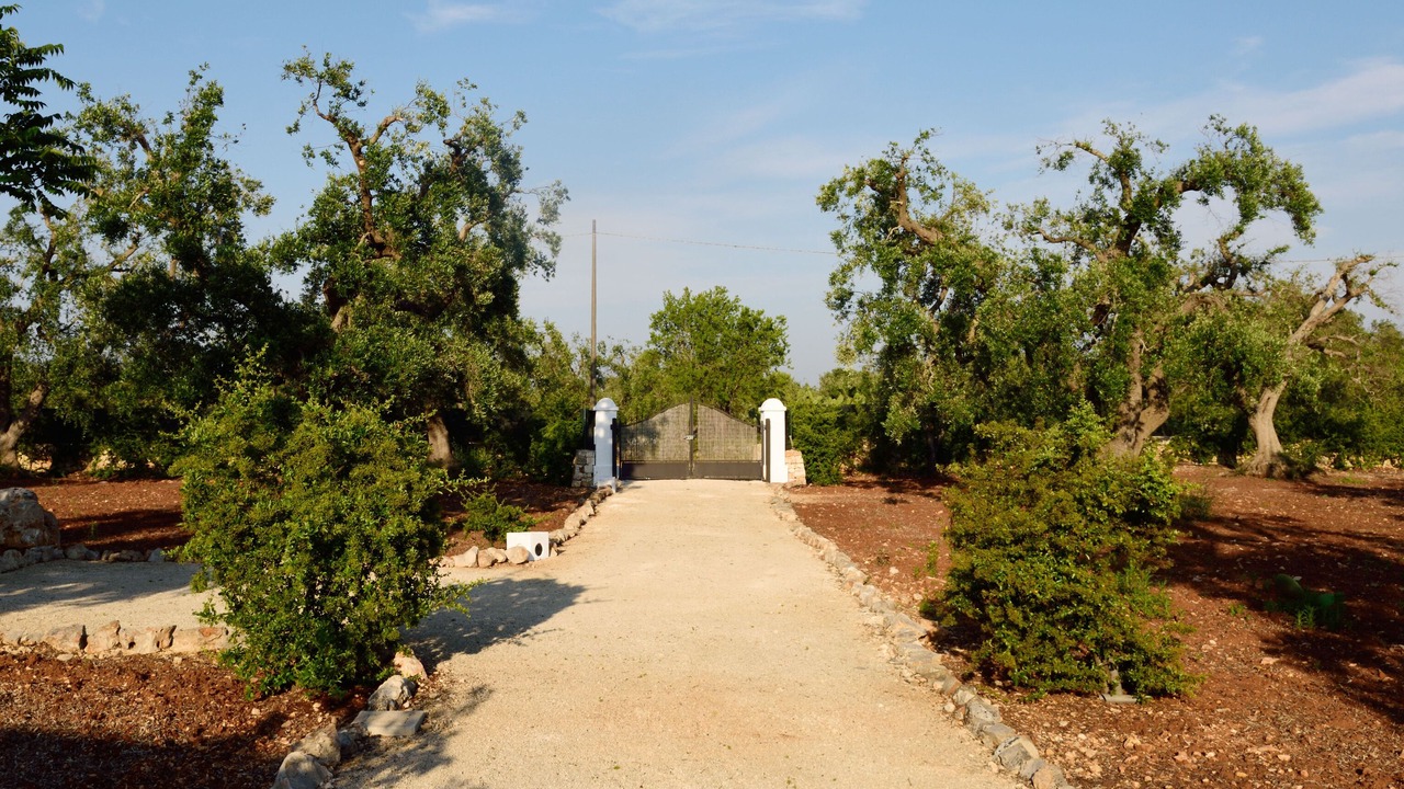 Photo of Outdoor in San Vito dei Normanni