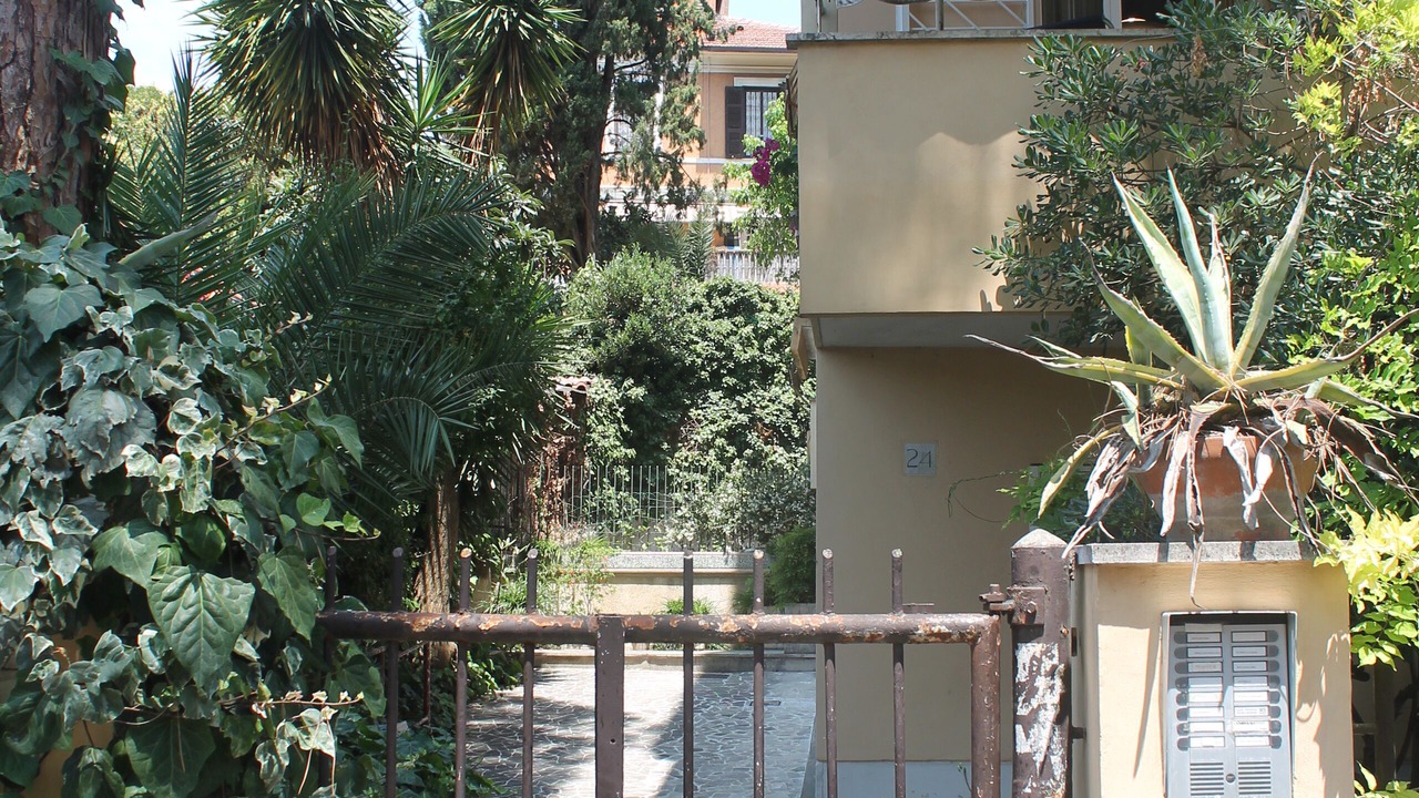 Photo of Outdoor in Monte Sacro