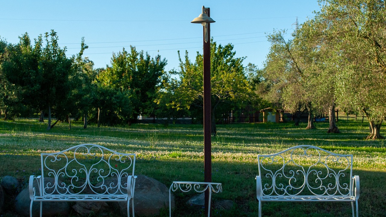 Photo of Outdoor in Montefiascone