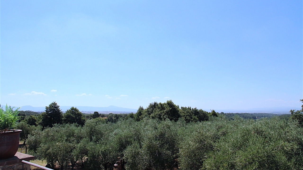 Photo of Others in Montefiascone